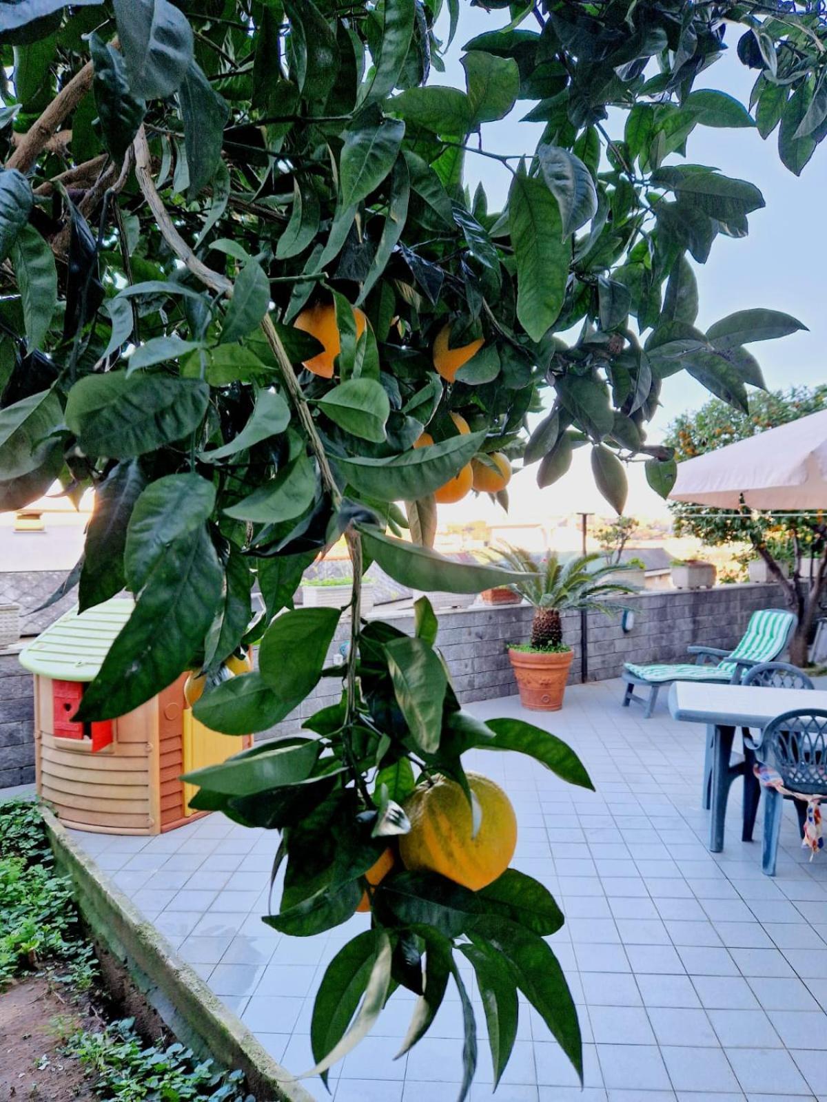 Fuga A Napoli Apartment Eksteriør bilde